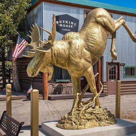 Hotel The Bucking Moose à West Yellowstone Extérieur photo