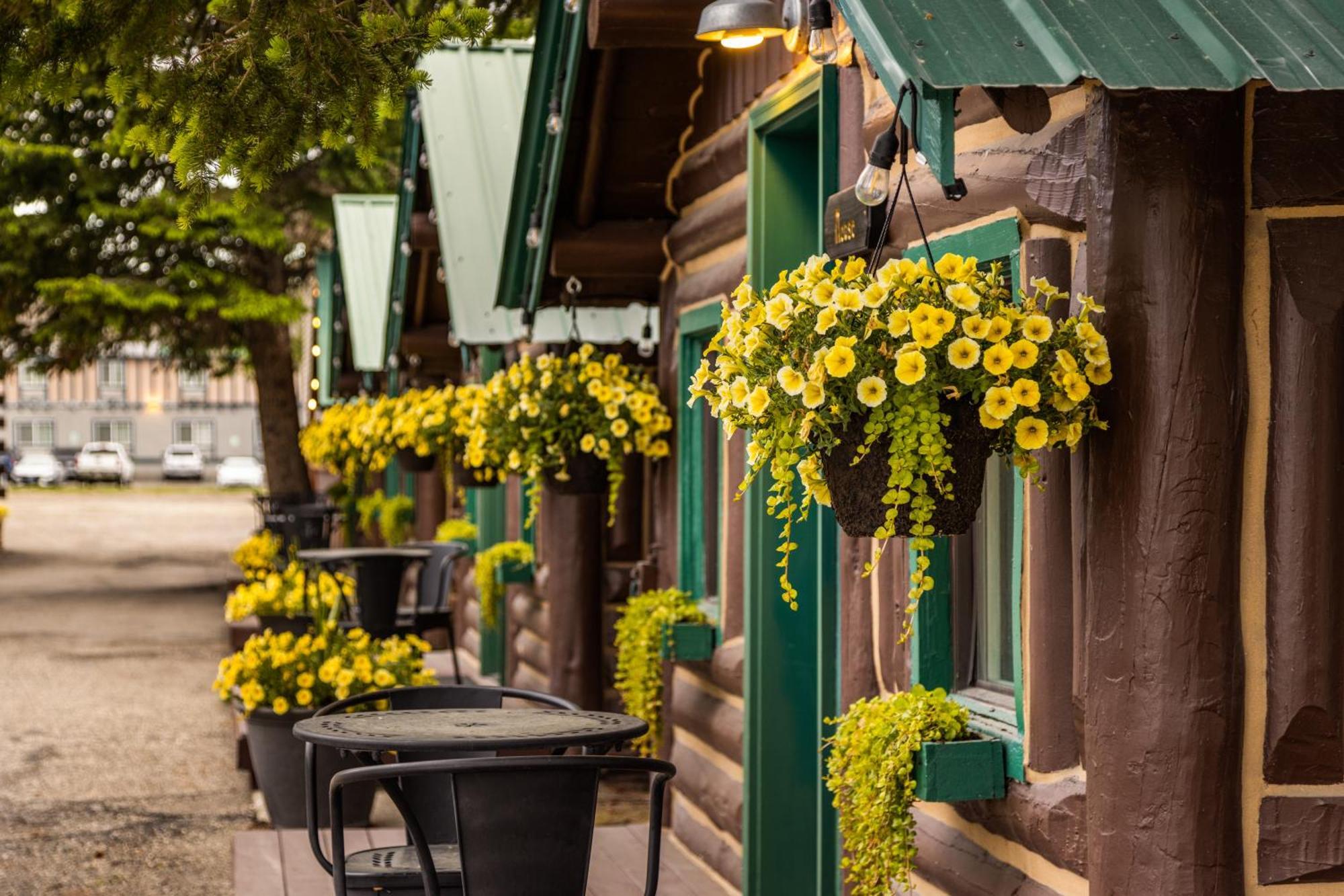 Hotel The Bucking Moose à West Yellowstone Extérieur photo